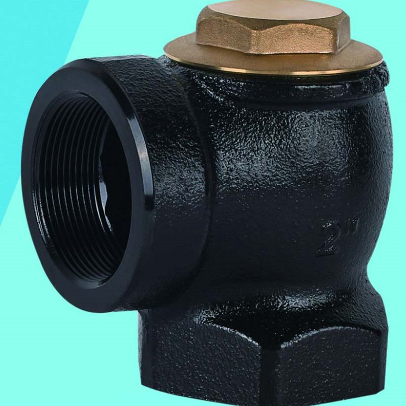 Pipeline Check Valve